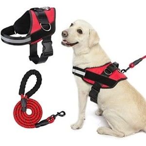 Dog Harness caring for pets